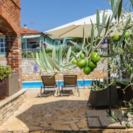 Villa Istriana Jakob With Pool Tar-Vabriga Exteriör bild
